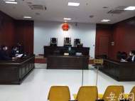 防疫期間 廬江縣法檢兩院網絡審判一起刑事案