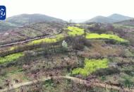 鳳臺(tái)：百花綻放 山色返青