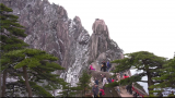 清明假期游黄山风景区，您想咨询的这儿都有！