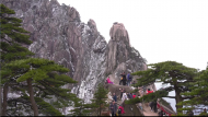清明假期游黃山風景區，您想咨詢的這兒都有！