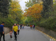 合肥大蜀山國家森林公園明起開放 南北主入口可進(jìn)入