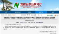 淮南15個村入選2020年度美麗鄉村省級中心村建設名單