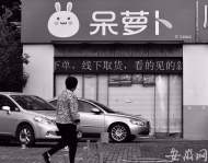 “呆蘿卜”回應申請破產重整：用戶余額目前仍可使用