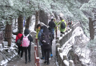 太美！黃山風(fēng)景區(qū)山邂逅春雪