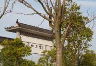 春意盎然 合肥紅石咀景區不少游人戴口罩踏青