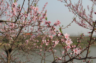 樂華麗：走三河