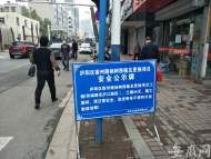 合肥老城區800余株楊樹將被移植  新栽種櫻花香樟等景觀樹