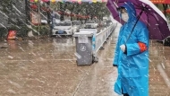 王利雪：站崗記事