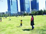 合肥携手中科院合肥物质科学研究院共建“中国环境谷”