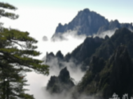 組圖）黃山云海景觀