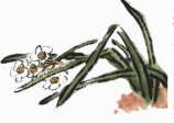 楊根秀：清香襲人