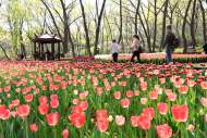淮南：八公山下百花“鬧”春