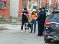 淮南大通區(qū)開展文明養(yǎng)犬宣傳
