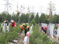 合肥經(jīng)開區(qū)采購3萬余支鮮花 免費(fèi)代市民祭祀