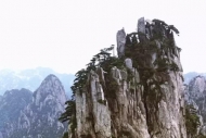楊麗琴：活著的理由