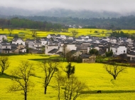張道德：春的信使