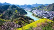 伊語：我的太極拳師傅 