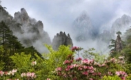 李旸：把你的名字寫(xiě)進(jìn)酒窩（外一首）
