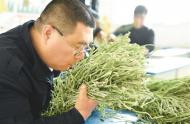 合肥市3批次食品抽檢不合格 涉及豆芽、牛肉和韭菜