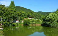 吳玲：栗子