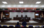 毆打勒索他人財物 舒城蔣家華等惡勢力犯罪團(tuán)伙案開審