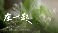 中意艺术家隔空演绎 《在一起（TOGETHER）》