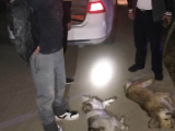 民警深夜遇见携带匕首的偷狗贼 抓住！