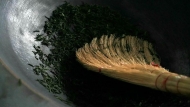 聶學(xué)劍：茶根與菜根