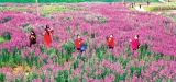 五一出门旅游安全吗？专家称气温升高不利于病毒存活