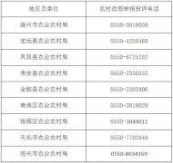 滁州市農村改廁舉報投訴電話公布 涉及8個縣市區 
