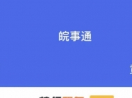線上“數據大廳” 助力“皖事通辦”