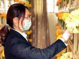 合肥青龙潭公墓园2月1日起全封闭管理  民政、城管部门提倡云祭祀和家庭追思
