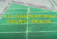 习习春风润江淮——习近平总书记视察安徽四周年特别报道：安徽这四年，听听他们说