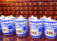 朱雨瑩:老村醫