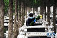 合肥小蜀山陵園冬至祭掃要預約   實行分時段、間隔性入內