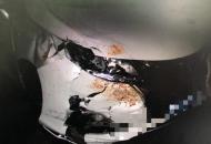 肇事致人死亡竟逃逸 警方30分鐘速破交通肇事案