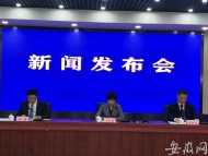 一季度安徽省生產總值7821.3億元 同比下降6.5%