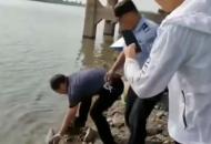 江豚在岸邊擱淺  民警幫助送回長江.