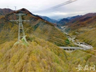 安徽專家助力世界首條全清潔能源“電力天路”飛躍嘉陵江 
