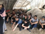 賭博窩點(diǎn)藏身廢棄大棚 被蕪湖警方端掉