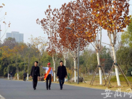 合肥南艷湖、翡翠湖公園喊你來當“市民園長”啦！