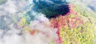 苒心：一個(gè)女畫家的花花世界