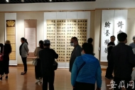 安徽八位女书法家母亲节“扫眉心画”