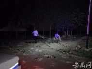 雷雨夜車輛被困 蕭縣民警及時行動成功解救