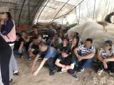 当涂警方侦破特大跨境网络开设赌场案  涉案赌徒1万余名流水4.4亿元