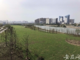 合肥南淝河下游整治年底完工 砂石货场码头将变身滨河生态绿廊