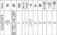 土拍快讯：旭辉落下肥西第三子，竞得FX202005号地块