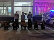 電詐團(tuán)伙藏身賓館 被蕭縣警方打掉