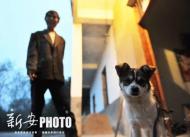 合肥整治不文明養犬 讓動物咬傷門診患者減少20%