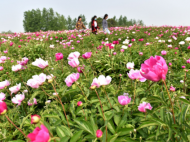 巢湖市奮力譜寫“山水名城、產(chǎn)業(yè)新城”新篇章